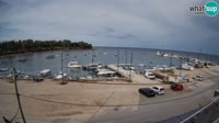 Savudrija - Marina
