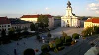 Rynek