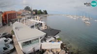 Novigrad - Porporela