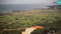 Pag - Kolan - Gligora Cheese Factory