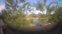 Sisak - Kupa