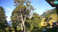 Kranjska Gora - Erjavčeva Mountain hut