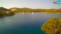 Hvar - Vira