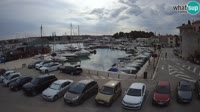 Novigrad - Porporela Marina