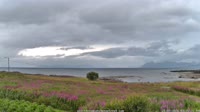 Laukvik