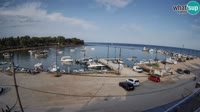Savudrija - Marina