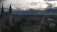 Vignette