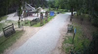 Miško parkas