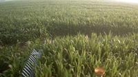 Shangqiu - Liangyuan - Tierras de cultivo