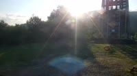 Vignette