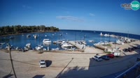 Savudrija - Marina