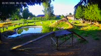 Vignette