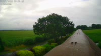 Fredenbeck - Ordenskamp