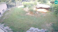Vignette