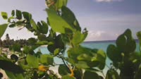 Malé Atoll - Eh'mafushi - SAii Lagoon Maldives
