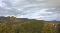 Bad Tabarz - Burgholz