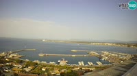 Roses - Porto