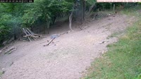 Veszprém - Mangeoires d'oiseaux