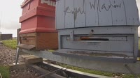 Miniaturansicht