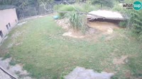 Ljubljana - ZOO