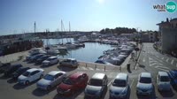 Novigrad - Porporela Marina