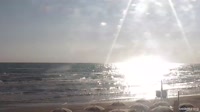Senigallia - Port
