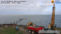 Husum - Dockkoog