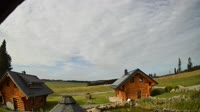 Oberharz am Brocken - Tanne