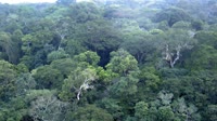 Jangambi biosferos rezervatas