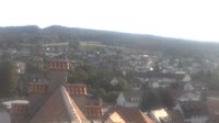 Markdorf - Cigognes