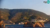 Ponza - Harbour