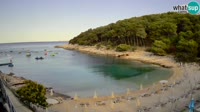 Mali Lošinj - Sunčana uvala beach