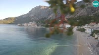 Podgora - Drašnice - Beach