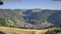 Todtnau im Südschwarzwald - Hasenhorn