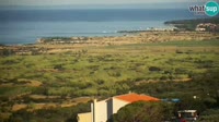 Pag - Kolan - Gligora Cheese Factory