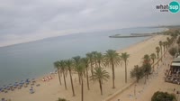 Roses - Beach