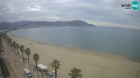 Roses - Santa Margarita Beach