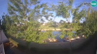 Sisak - Kupa