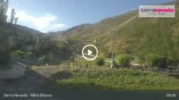 Sierra Nevada - Mirlo Blanco