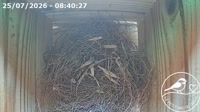 Roncourt - Birdhouse