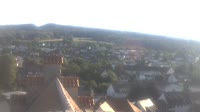 Markdorf - Storks