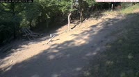 Veszprém - Karmniki i budki dla ptaków