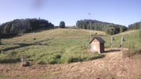 Stok narciarski