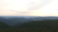 Schneekopf - Selva di Turingia