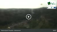 Hardegg - Castello