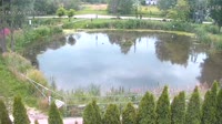 Rąbień - Staw