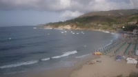 Elba - Cavoli