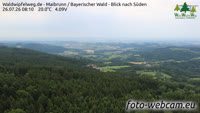 Maibrunn - Waldwipfelweg - Foresta Bavarese