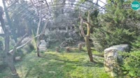 Zagabria - Zoo - avvoltoi grifoni