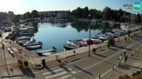 Novigrad - Mandrač